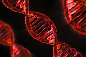 Strawberry, Gummies and You: DNA Fun With Food
