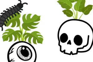 Peculiar Planters