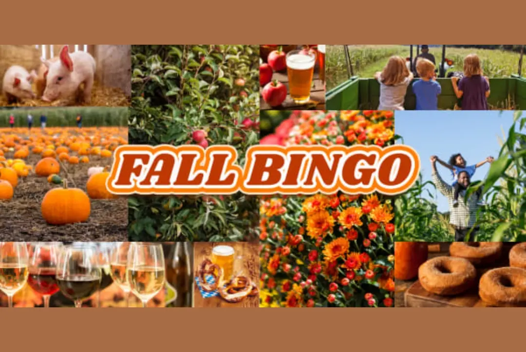 Fall Farms BINGO