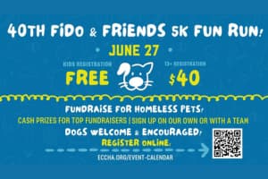 Fido & Friends 4k Fun Run