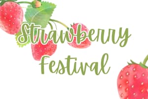 Govin's Farm: Strawberry Festival