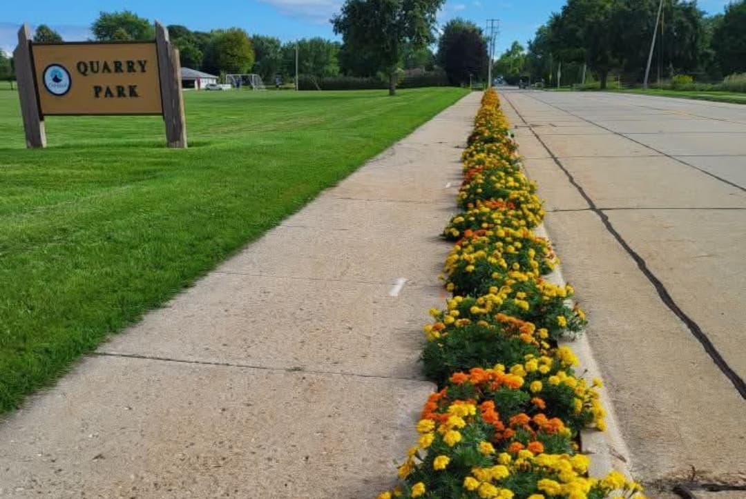 Planting Day for Quarry Park Gold
