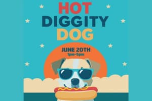 Brown Paws Rescue Hot Diggity Dog Fundraiser