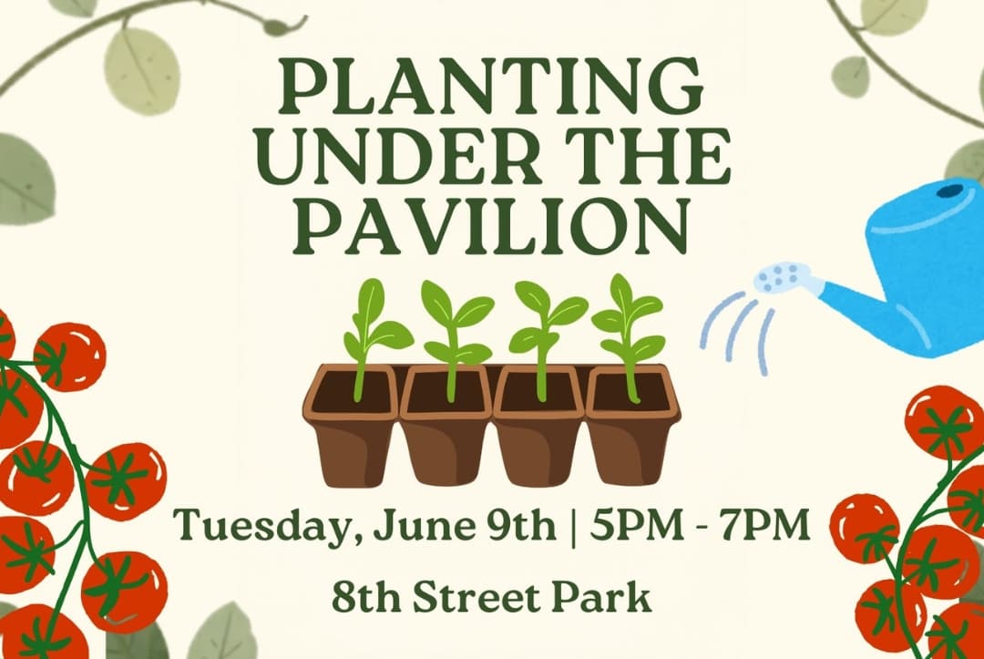 Shipyard Neighborhood Association Planting Under the Pavillion