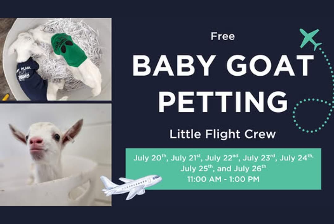 Flight Kids | Free Baby Goat Petting