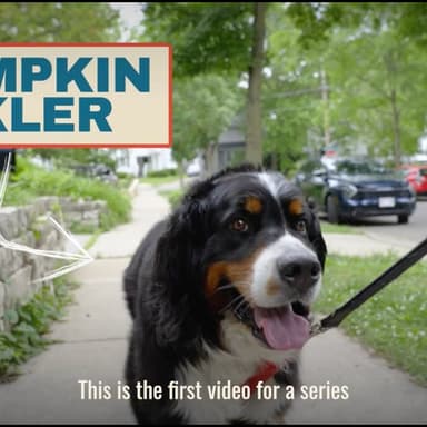 This Is Wisconsin Launch Video