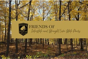 FoISLSP: Fall Celebration