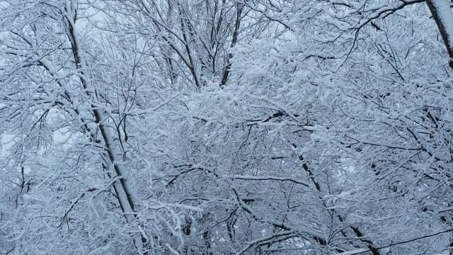 Cancellations and Delays for 12/10/25