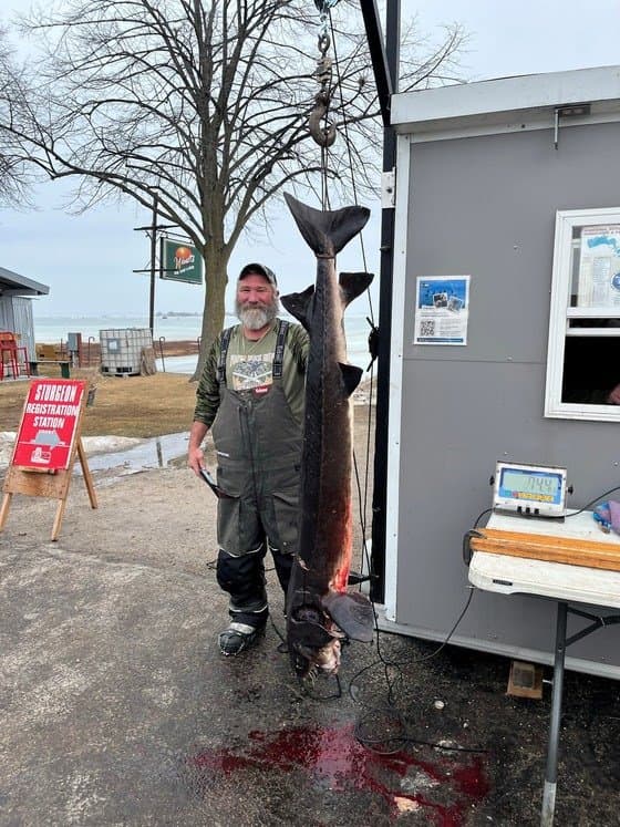 DNR Sturgeon Spearing Report Day Four