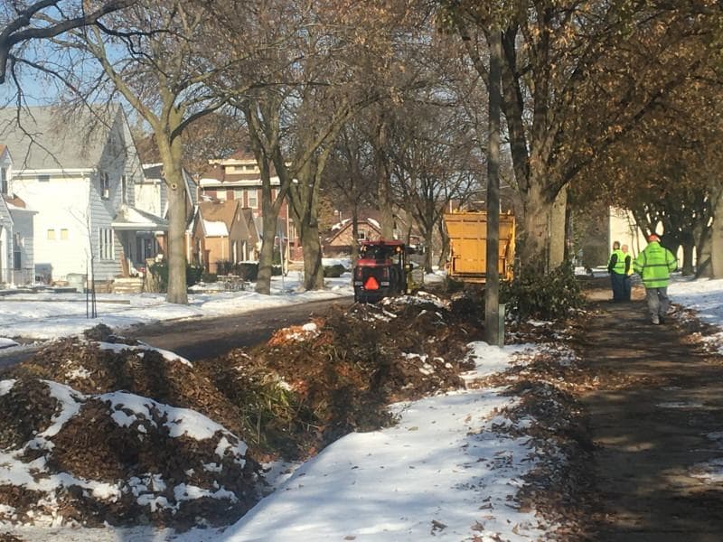 Milwaukee DPW Extends Leaf Pick Up Due to Wintery November