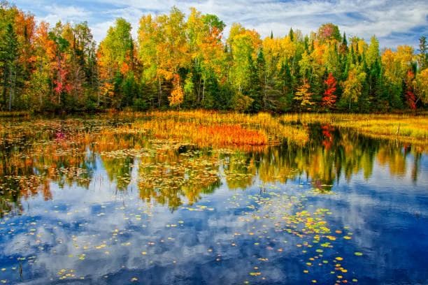Five of the clearest boating lakes in the US can be found in Wisconsin