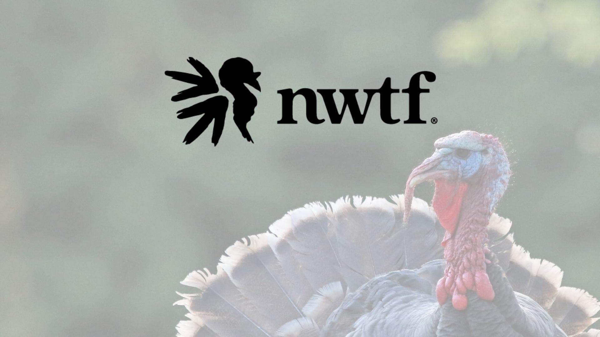 The Scenic Hills National Wild Turkey Federation to hold "Guns and Bingo" event Friday