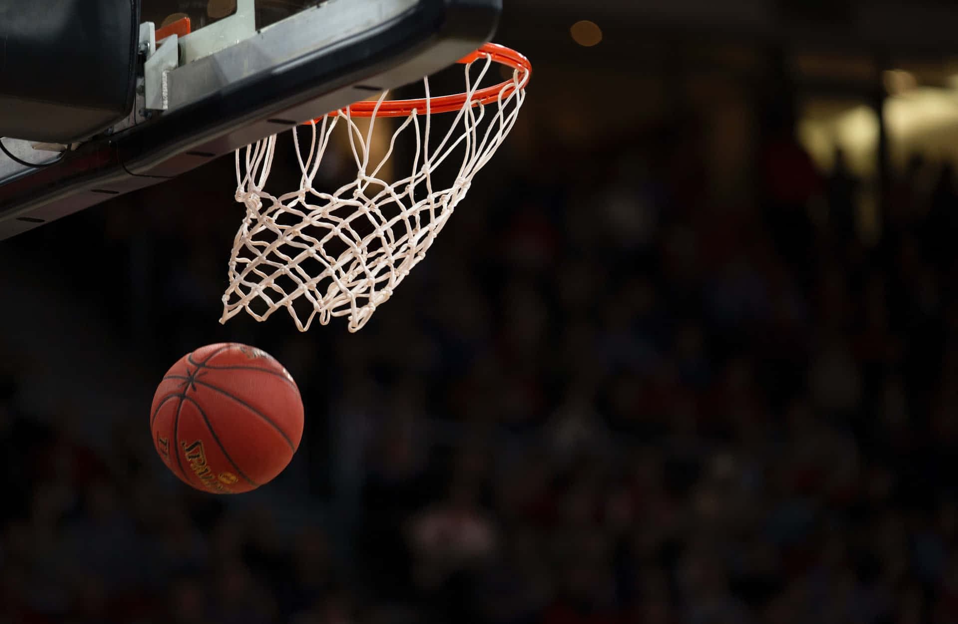 Newman Catholic names Kati Goetsch new girls' basketball coach