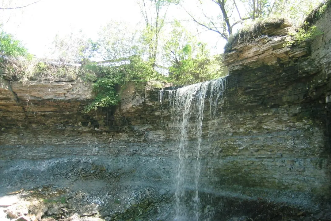Guided Hike and Fossil Hunt