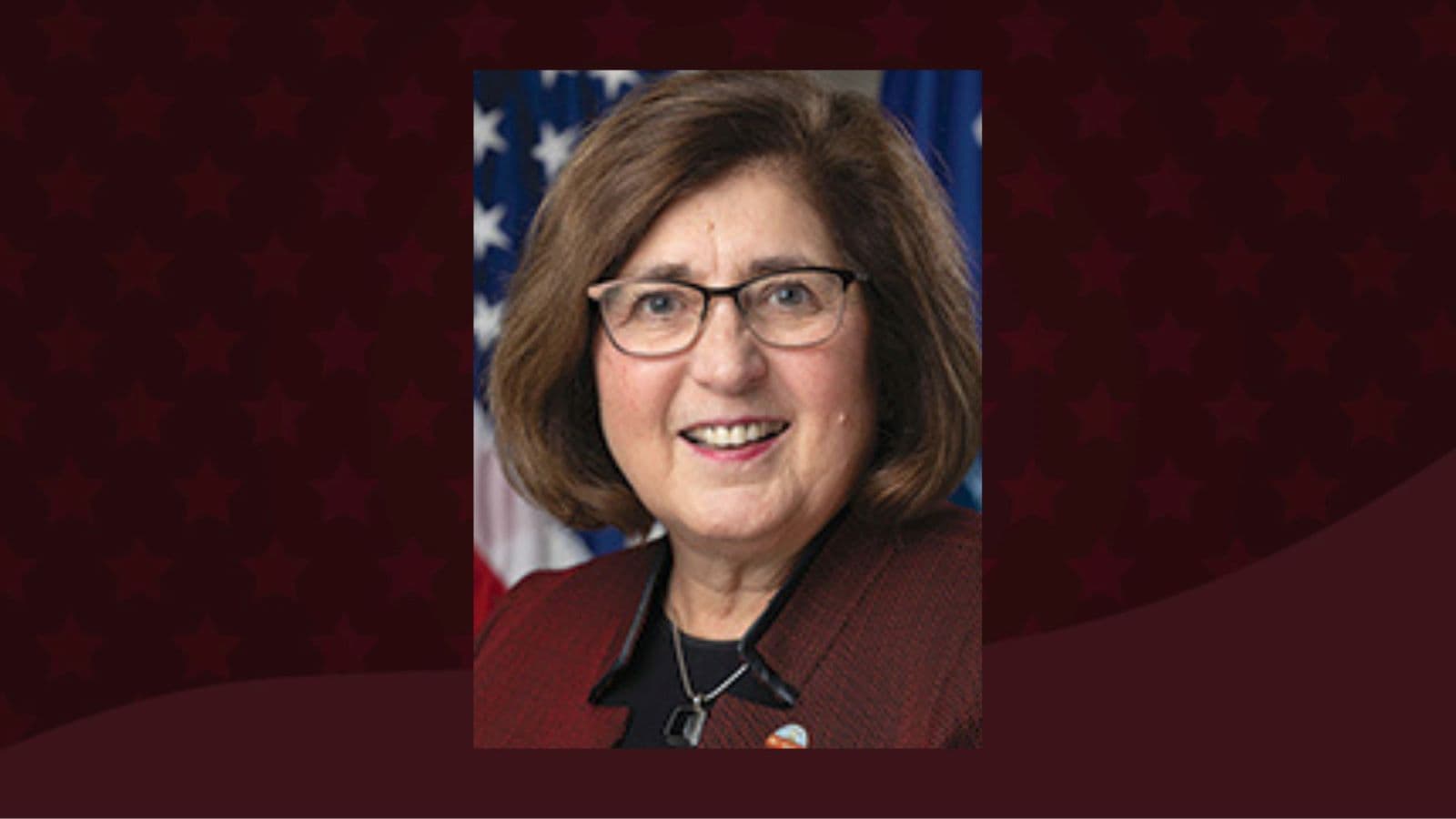 Representative Donna Rozar Announces Candidacy for 86th Assembly District