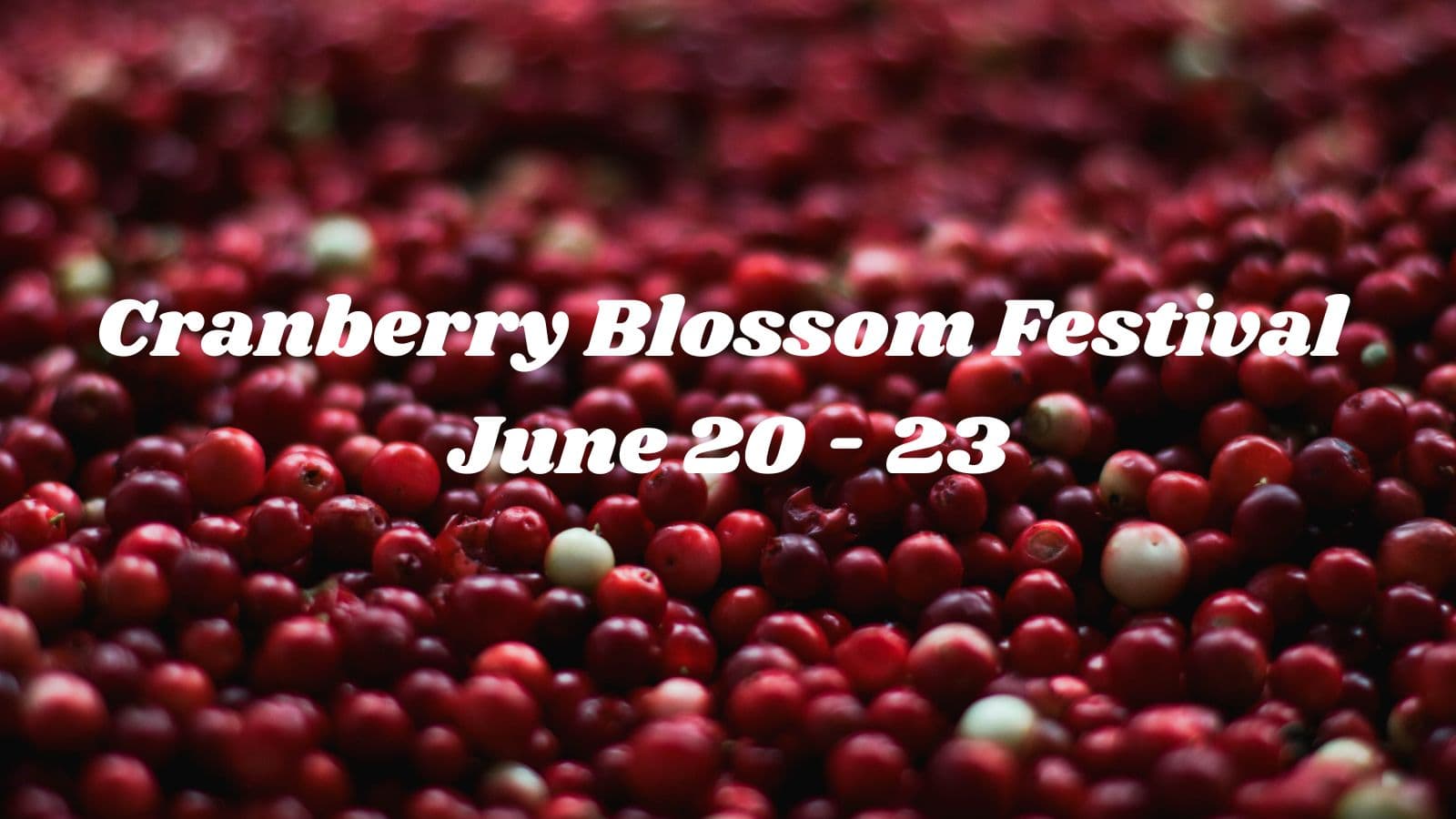 Cranberry Blossom Festival