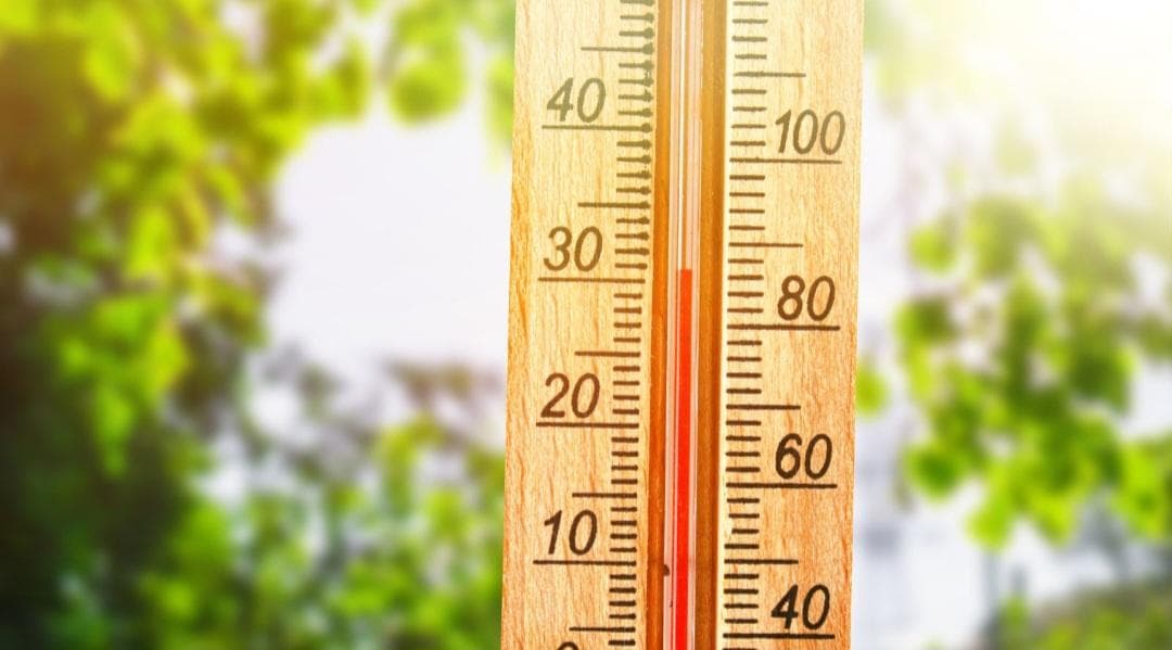 Heatwave in Wisconsin: Four Safety Tips to Beat the Scorching Temperatures