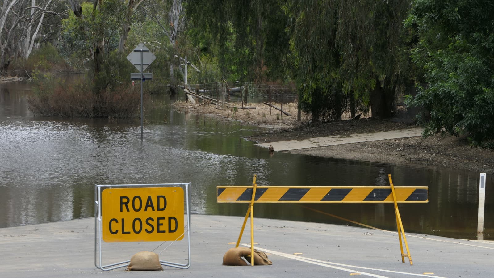 Appleton releases flooding recovery resource