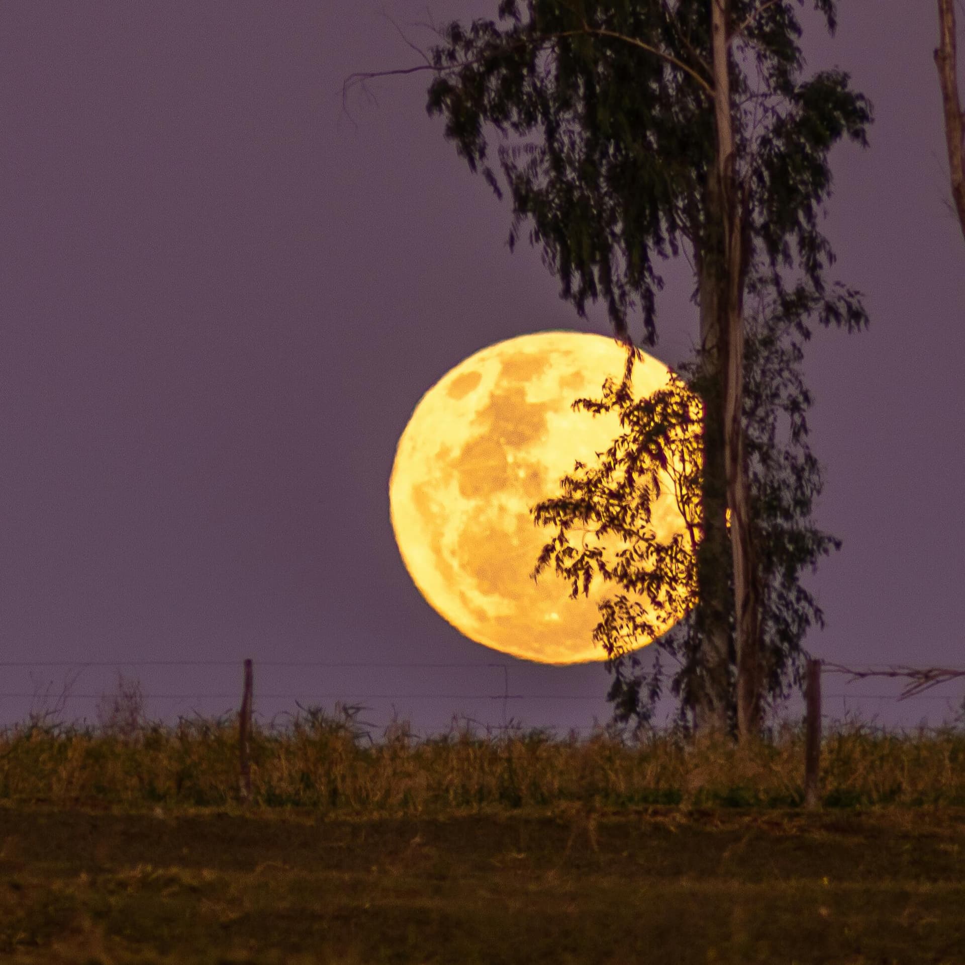 Look Up! It’s The Final Supermoon Of The Year
