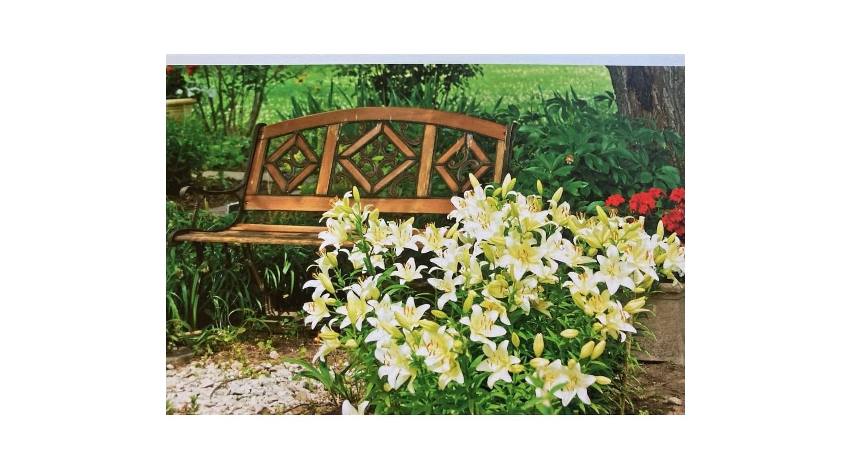 Joan Rachel Schmidt, 96, Park Falls