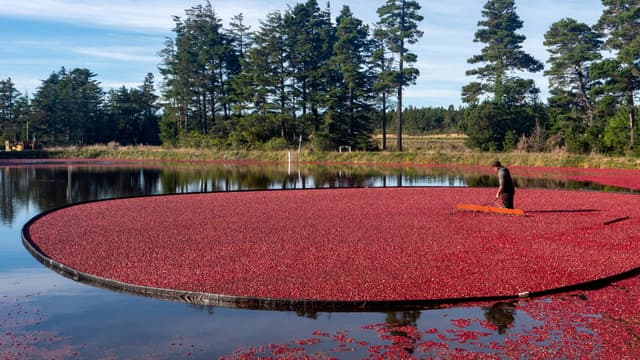 Cranberry Growers Association – September ‘25