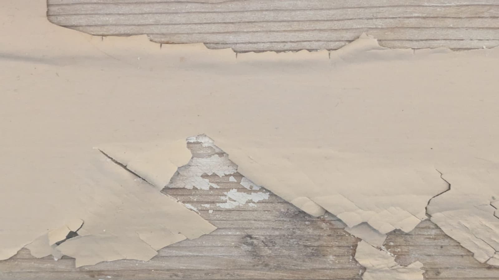 Prevent childhood lead poisoning with Lead-Safe Homes Program