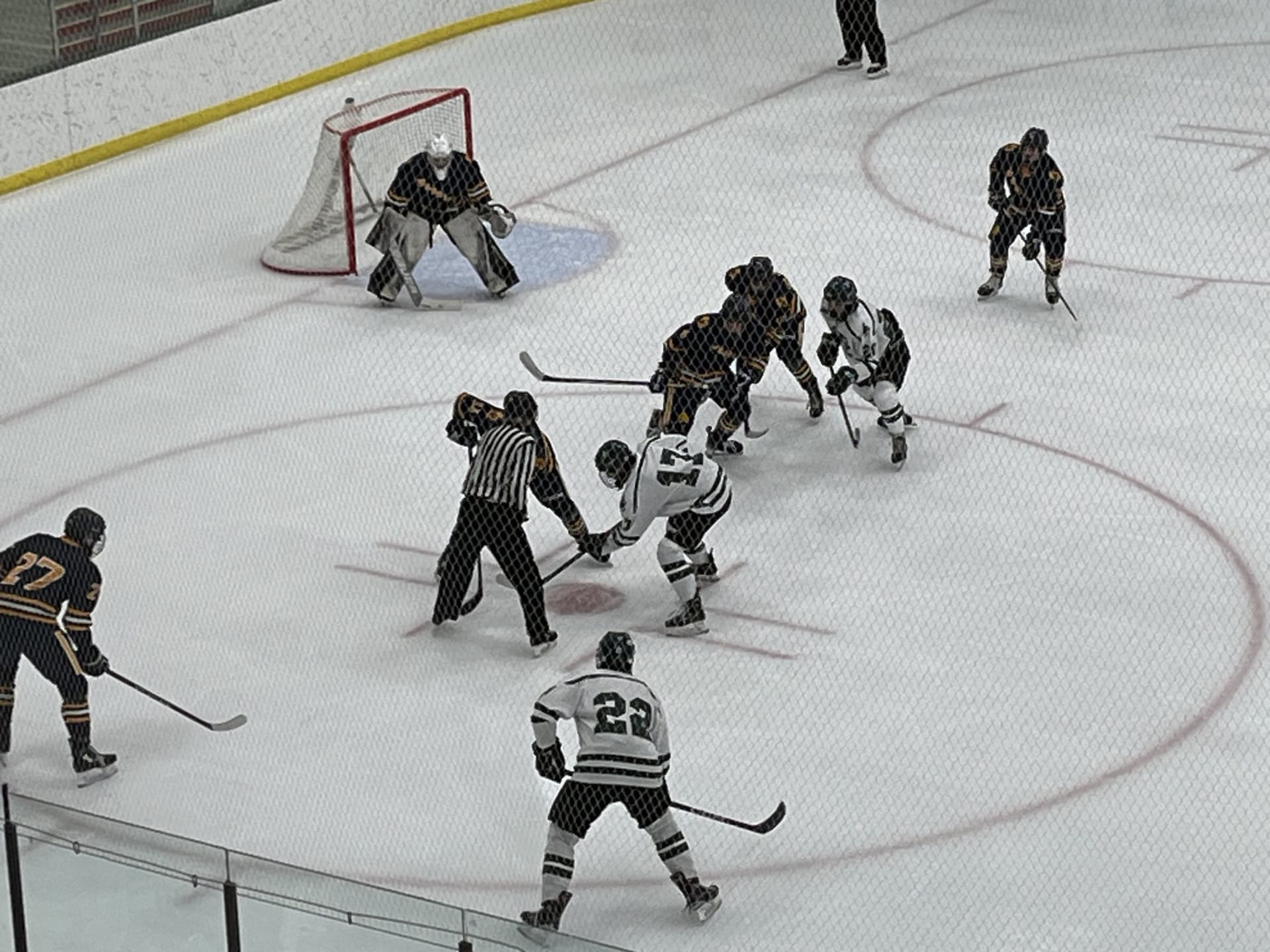 This week in HS hockey: Back into the conference grind; very busy time for Wausau West; Storm continue their homestand.