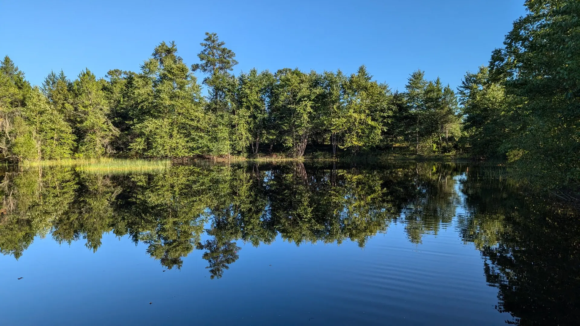 Budget deal’s $15 million in earmarks for Robin Vos’ district highlight politicization of Wisconsin’s conservation funding