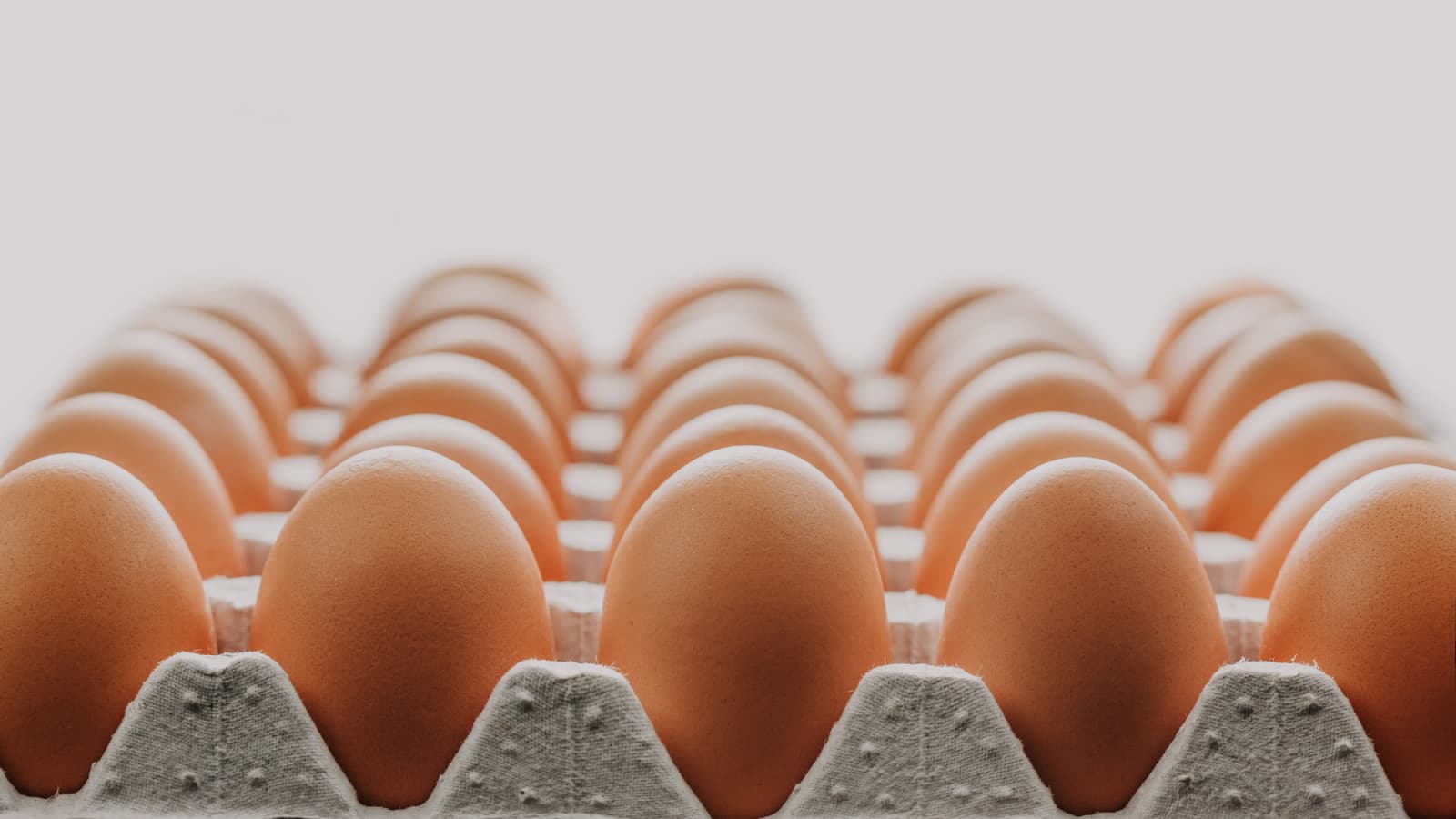 Egg prices too high? Easter Egg alternatives