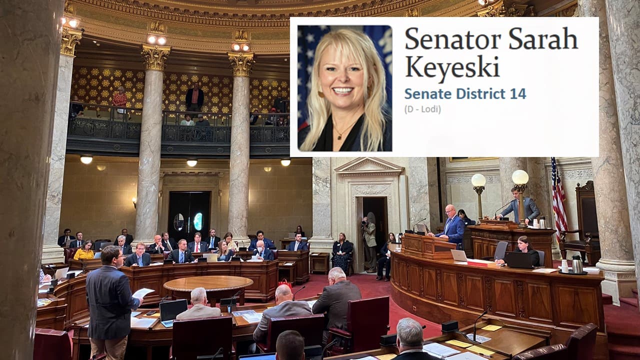 Wisconsin Senate again considering postpartum care