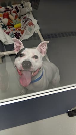 Look at that Smile! (Hour 2)