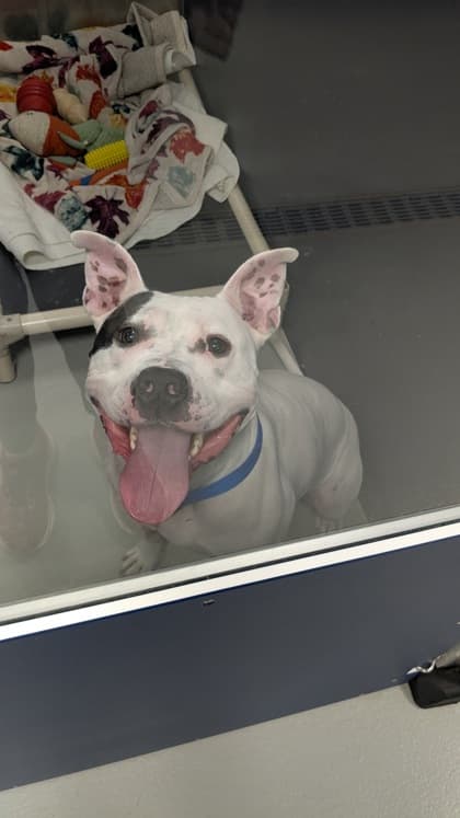 Look at that Smile! (Hour 2)