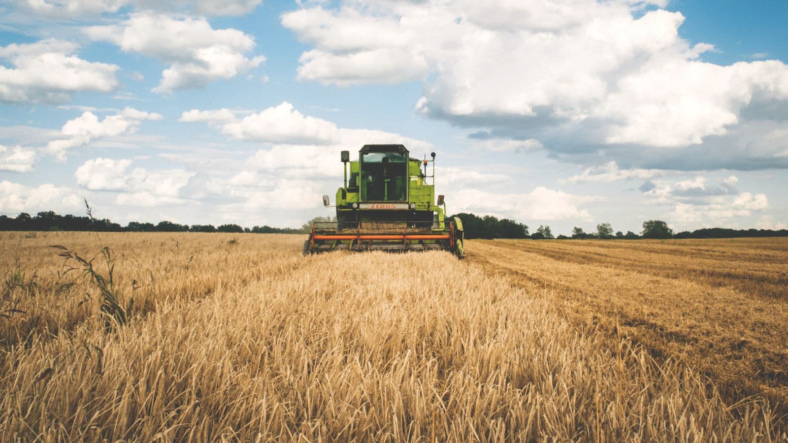 Northwest Wisconsin Legislators Introducing Farm Protection Bill