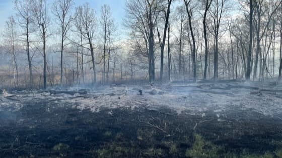 80-Acre Wildfire In Juneau County Evacuates Homes