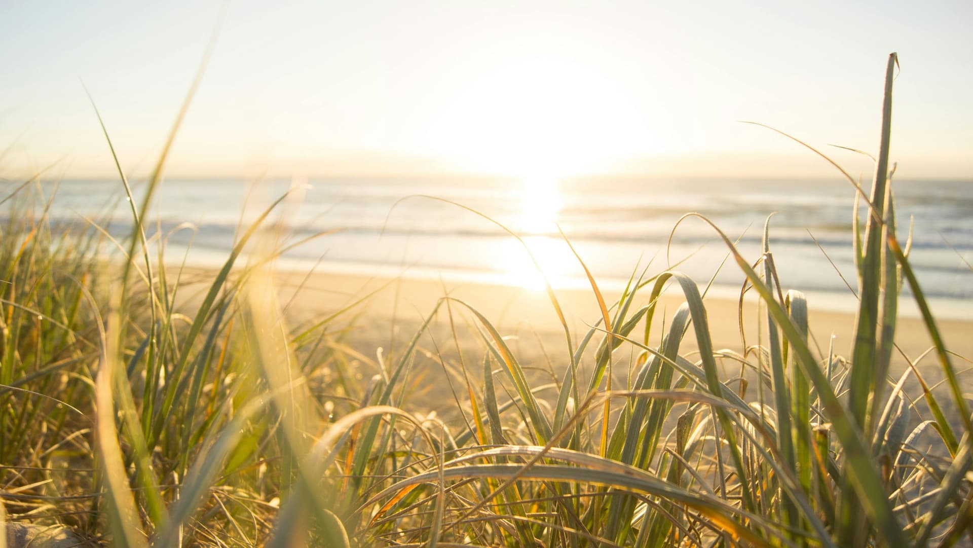 Temps Surge Towards Summer: Heat & Humidity Hit Soon