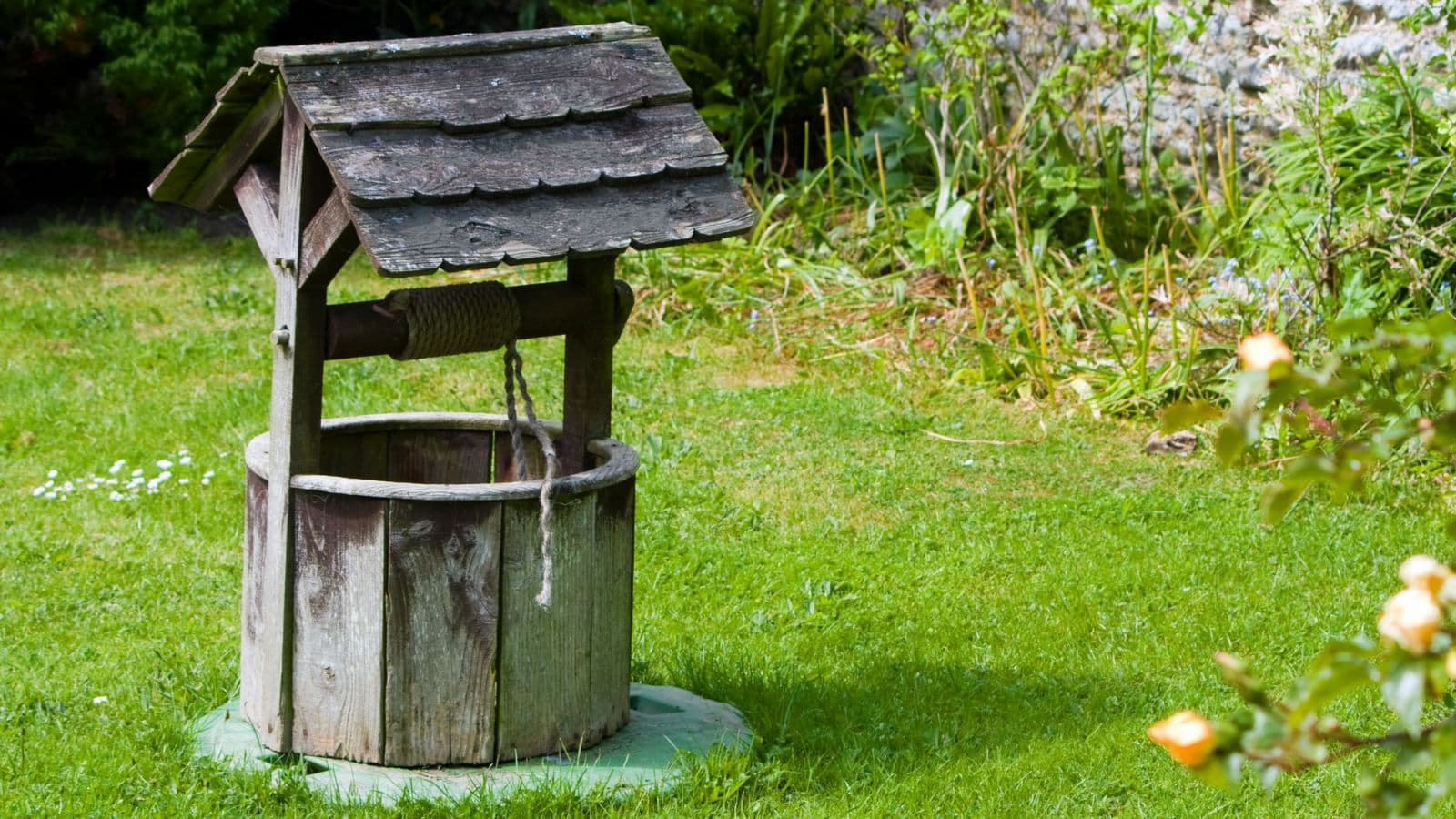 Dunn County Offering Free Well Water Testing This Summer