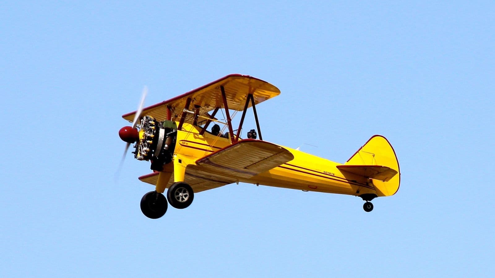 Western Wisconsin to See Spongy Moth Treatments This Spring