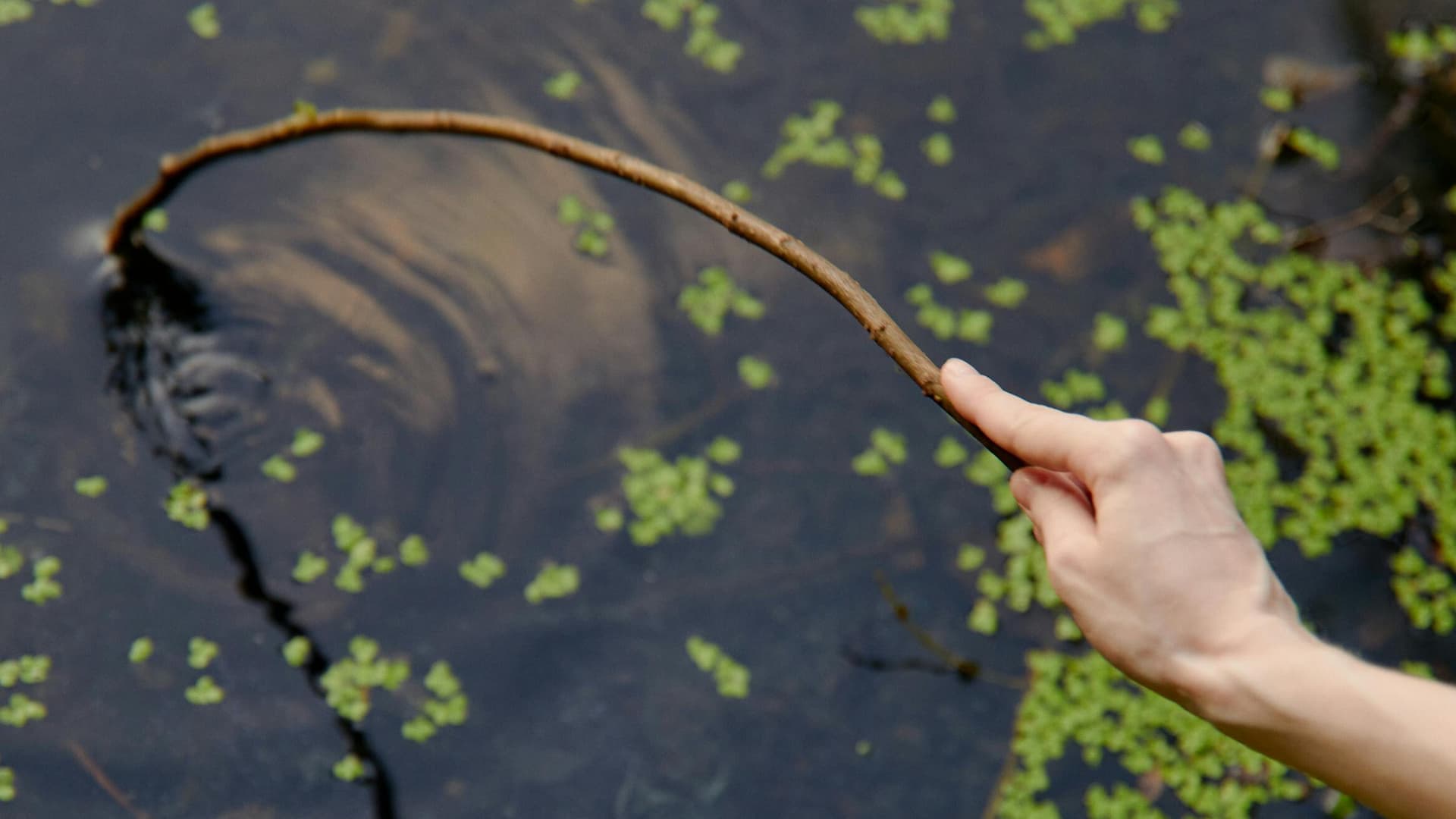 Water in Wisconsin: Warmth Spikes Bacteria Levels & Algae Blooms