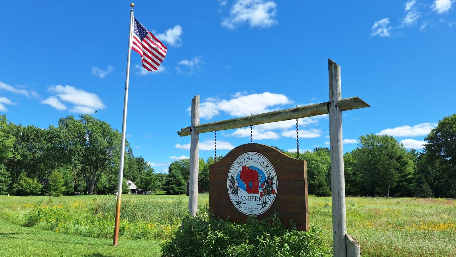 Cranberries In Wisconsin