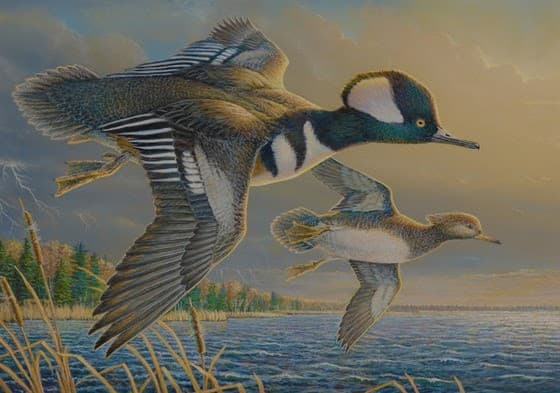 Local Artist Among Stamp Design Winners
