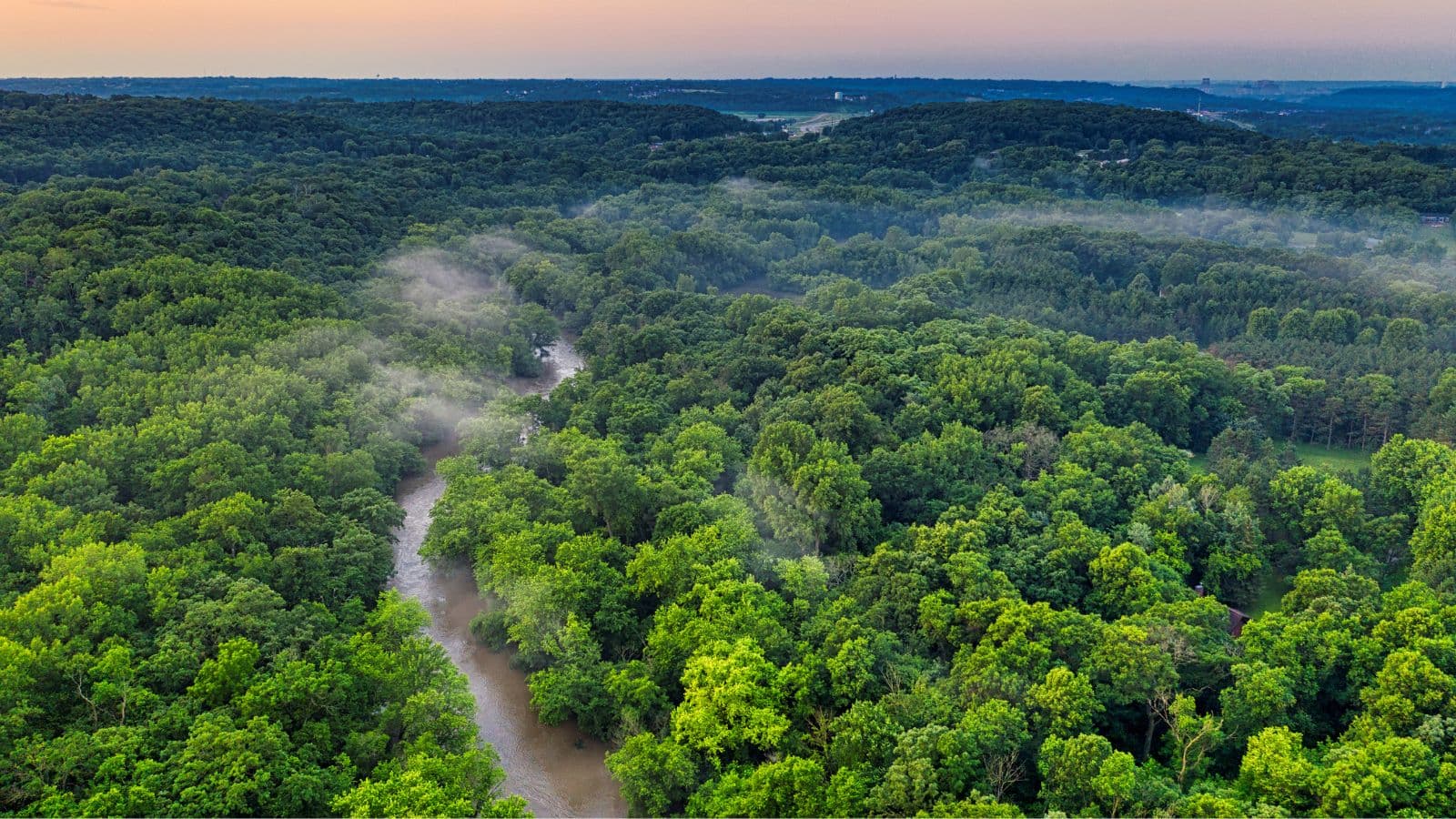 Northwest Wisconsin Residents Asked for Input on Forest Plan