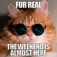 Friday! Let’s recap!