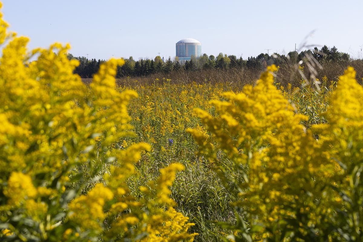 Kewaunee County town staves off interest from data center developers