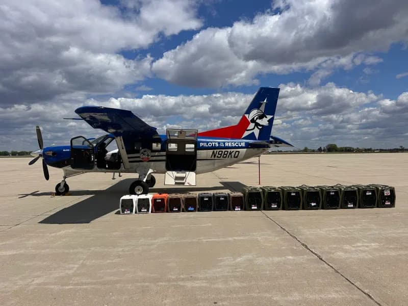 Rescued Ridglan Farms beagles catch flight out of Wisconsin