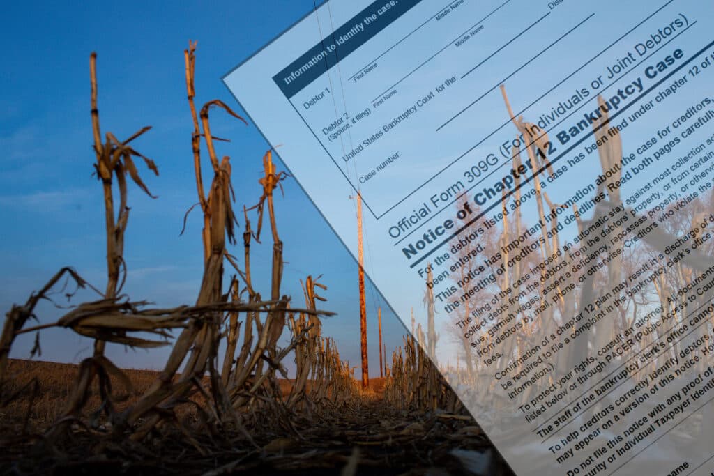 Minnesota led the nation in farm bankruptcies in the first quarter, and farmers are anxious