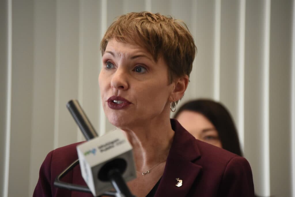 Elizabeth Hertel stepping down as director of Michigan Department of Health and Human Services