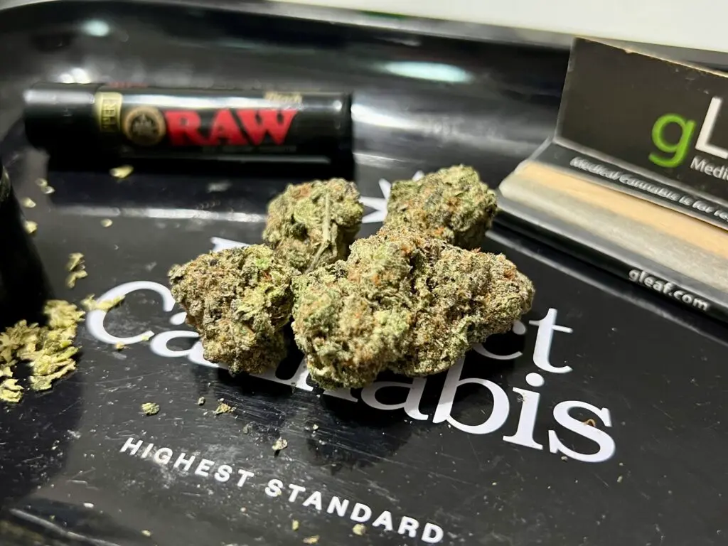 High-potency cannabis fuels state debates over psychosis and addiction risks