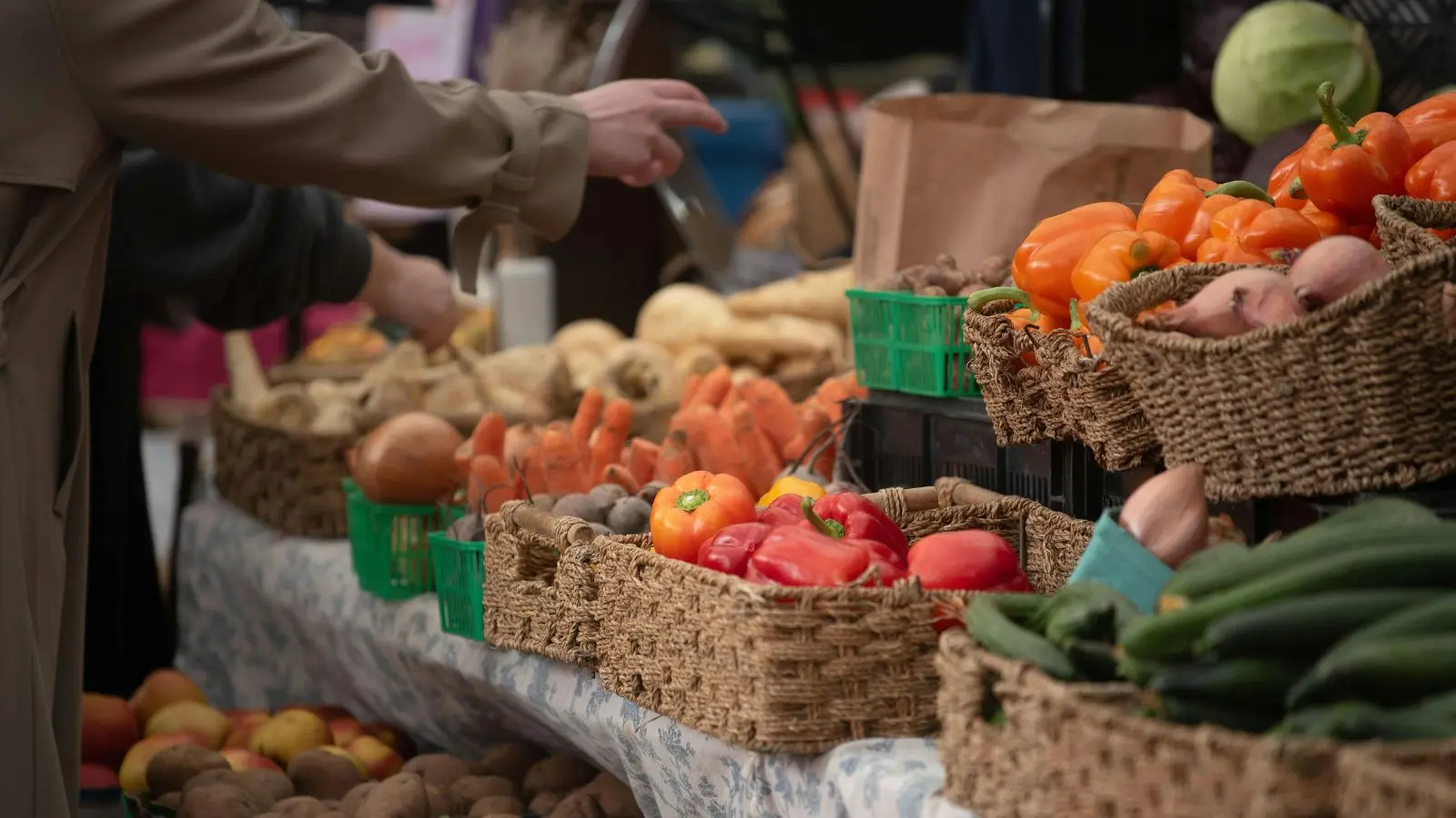 Chippewa County Expands Farm Fresh Produce Program Access