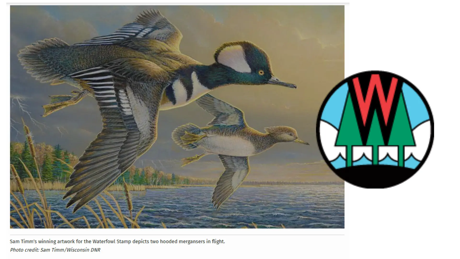 DNR accepting entries for 2027 Wild Turkey, Pheasant, and Waterfowl Stamp Design Contests