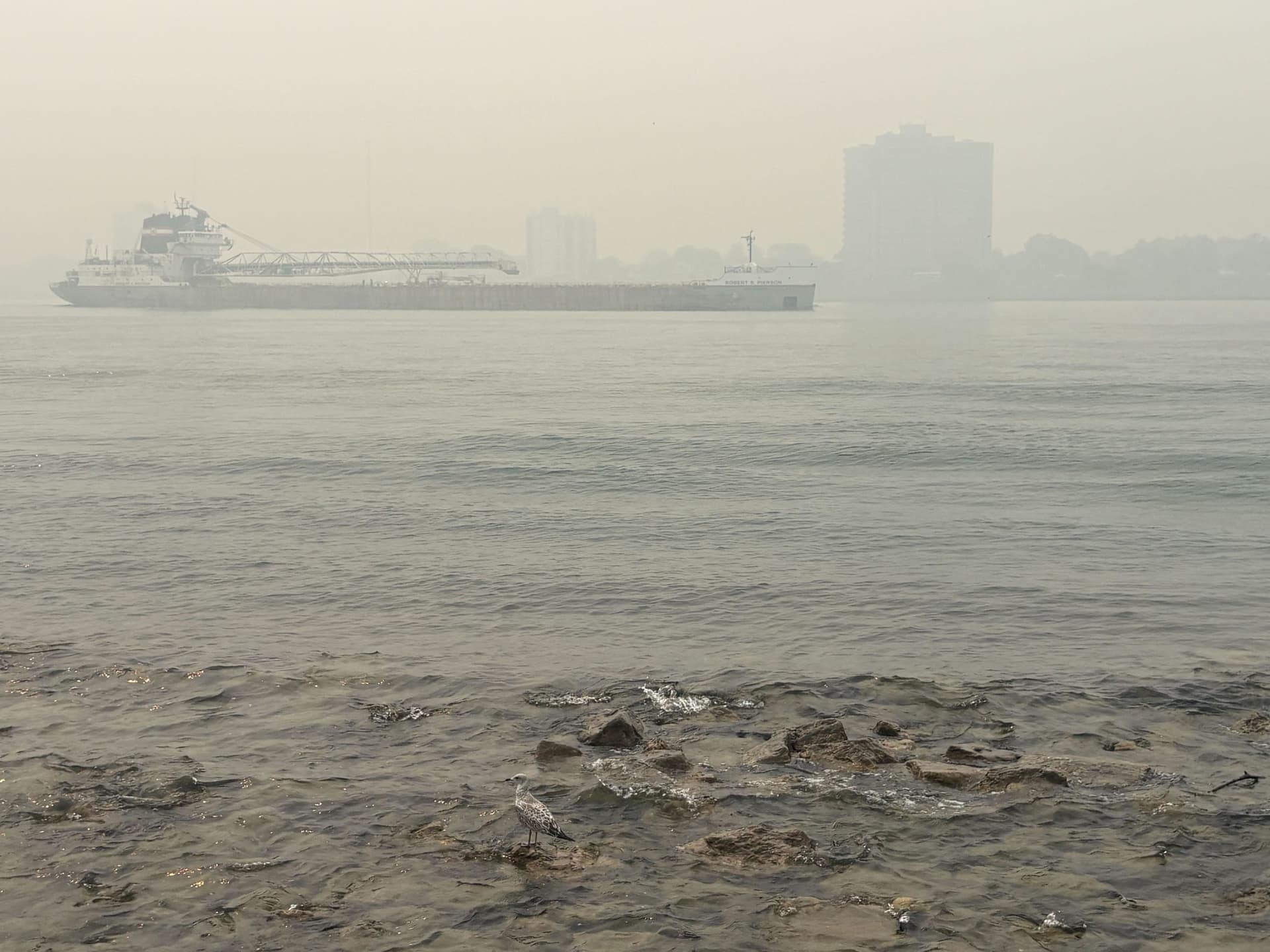 What to know as wildfires envelop Michigan in smoke (again)